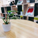 🔴3月はいろいろイベントがありますね🟢