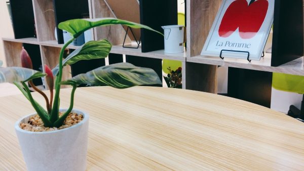 🔴大雪もありますが・・・🟢